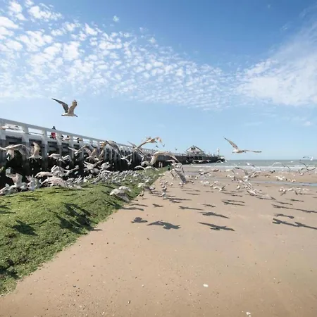 Appartamento In Near The Pier *