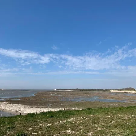 In Near The Pier Appartamento